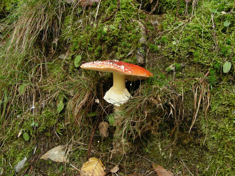 Escursione in riva al lago